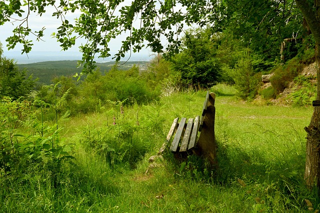从这个角度 从这个角度
