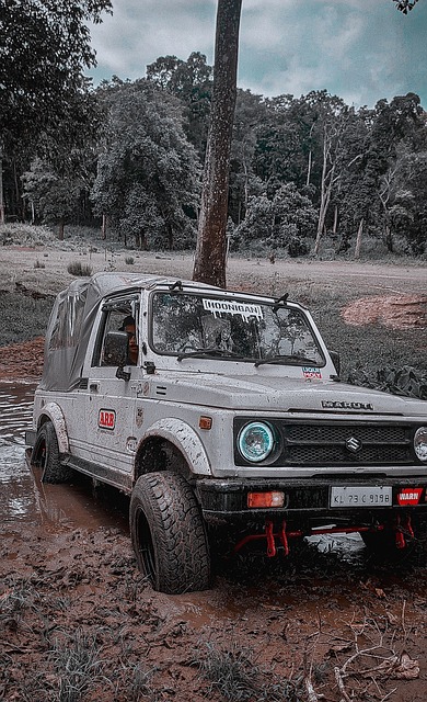 很可能将成 很可能将成