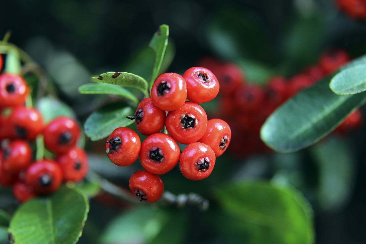 他逐渐成长 他逐渐成长