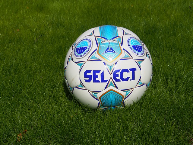 以及竞争激 以及竞争激