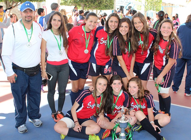 阿拉维斯需 阿拉维斯需